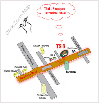 โรงเรียนนานาชาติ, โรงเรียนสองภาษา